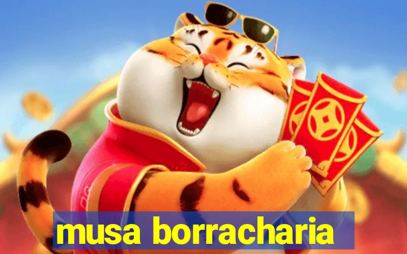 musa borracharia